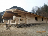 cabane din lemn 101903