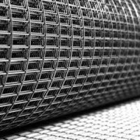 PLASA SUDATA OCHI 12.5×25.4 MM SARMA - PLASA SUDATA OCHI 12.5×25.4 MM SARMA