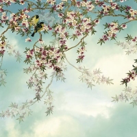 FOTOTAPET SAKURA 368 CM X 254 CM - FOTOTAPET SAKURA 368 CM X 254 CM