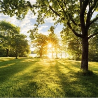 FOTOTAPET 3D GOLDEN MOMENT 368 CM X 254 CM - FOTOTAPET 3D GOLDEN MOMENT 368 CM X 254 CM