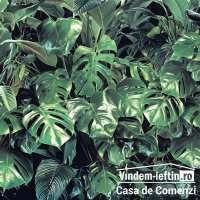 FOTOTAPET 3D VERDURE 368 CM X 254 CM - FOTOTAPET 3D VERDURE 368 CM X 254 CM