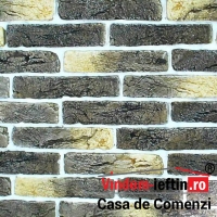 PIATRA DECORATIVA OLD BRICK 03 CUTIE 1MP - PIATRA DECORATIVA OLD BRICK 03 CUTIE 1MP