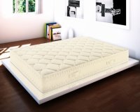 SC GIULIA CONFORT SRL 10938