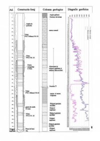 BRAT CONSTRUCT FOREX 17314