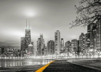 FOTOTAPET CHICAGO - TURNUL WILLIS - FOTOTAPET CHICAGO - TURNUL WILLIS