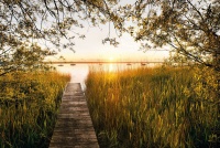 FOTOTAPET NATURA - APUS PE LAC VLIES - FOTOTAPET NATURA - APUS PE LAC VLIES
