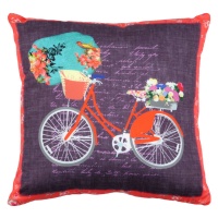 PERNA MOV CU BICICLETA ROSIE - PERNA MOV CU BICICLETA ROSIE