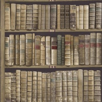 TAPET VINTAGE CARTI BIBLIOTECA NUC OXFORD II - TAPET VINTAGE CARTI BIBLIOTECA NUC OXFORD II