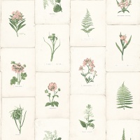 TAPET OXFORD II - BOTANICA ROZ - TAPET OXFORD II - BOTANICA ROZ
