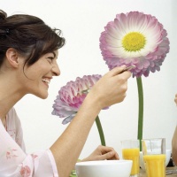 STICKER FLORI - MARGARETE ROZ - STICKER FLORI - MARGARETE ROZ
