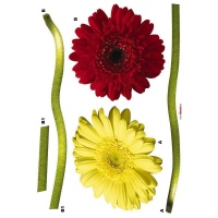 STICKER FLORI - GERBERA COLORATE - STICKER FLORI - GERBERA COLORATE