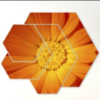 TABLOURI 4 PIESE - DETALIU FLORAL SUPRADIMENSIONAT - TABLOURI 4 PIESE - DETALIU FLORAL SUPRADIMENSIONAT
