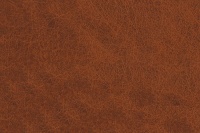 AUTOCOLANT DECORATIV PIELE MARO HAVANA 90 CM - AUTOCOLANT DECORATIV PIELE MARO HAVANA 90 CM