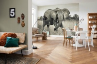 FOTOTAPET ELEFANT AFRICAN VLIES - FOTOTAPET ELEFANT AFRICAN VLIES
