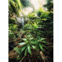 FOTOTAPET NATURA - VALLéE DE MAI - FOTOTAPET NATURA - VALLéE DE MAI