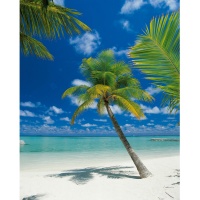 FOTOTAPET PLAJA - INSULA MALDIVE - FOTOTAPET PLAJA - INSULA MALDIVE