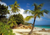 FOTOTAPET NATURA - PLAJA PRASLIN SEYCHELLE - FOTOTAPET NATURA - PLAJA PRASLIN SEYCHELLE