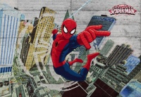 FOTOTAPET SPIDERMAN CAMERA BAIETI - CONCRETE - FOTOTAPET SPIDERMAN CAMERA BAIETI - CONCRETE