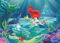 FOTOTAPET COPII ARIEL - MICA SIRENA - FOTOTAPET COPII ARIEL - MICA SIRENA