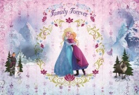 FOTOTAPET FROZEN - DRAGOSTE DE SORA - FOTOTAPET FROZEN - DRAGOSTE DE SORA