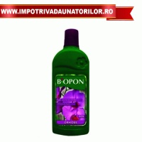 INGRASAMANT PENTRU ORHIDEE 0,5 L - INGRASAMANT PENTRU ORHIDEE 0,5 L