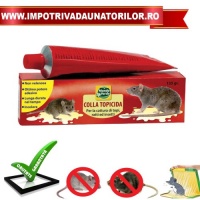 TOP 10 - LIPICI PENTRU SOARECI SI SOBOLANI - TOP 10 - LIPICI PENTRU SOARECI SI SOBOLANI