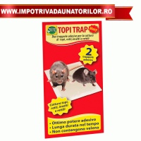 PLACA ADEZIVA ANTI ROZATOARE 2 BUC - PLACA ADEZIVA ANTI ROZATOARE 2 BUC