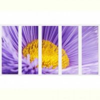 TABLOURI LUMINOASE - SET - FLOARE MACRO - TABLOURI LUMINOASE - SET - FLOARE MACRO