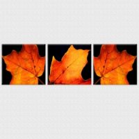 TABLOURI LUMINOASE - SET - FRUNZE DE TOAMNA - TABLOURI LUMINOASE - SET - FRUNZE DE TOAMNA