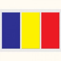 TABLOURI LUMINOASE - SET - STEAGUL ROMANIEI - TABLOURI LUMINOASE - SET - STEAGUL ROMANIEI