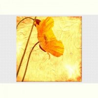 TABLOU LUMINOS - MAC - TABLOU LUMINOS - MAC