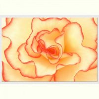 TABLOU LUMINOS - FLOARE DE BEGONIA - TABLOU LUMINOS - FLOARE DE BEGONIA