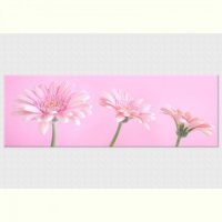 TABLOU LUMINOS - FUNDAL ROZ - TABLOU LUMINOS - FUNDAL ROZ