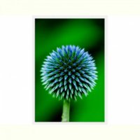 TABLOU LUMINOS - SFERA HIPNOTICA - TABLOU LUMINOS - SFERA HIPNOTICA