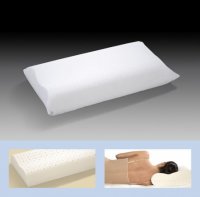 PERNA LATEX - ANATOMICA - PERNA LATEX - ANATOMICA