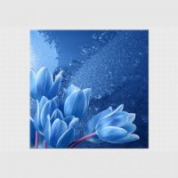 TABLOU LUMINOS - FLORI INGHETATE - TABLOU LUMINOS - FLORI INGHETATE