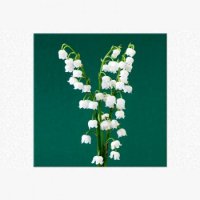 TABLOU LUMINOS - LACRAMIOARE - TABLOU LUMINOS - LACRAMIOARE