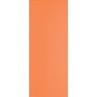 FAIANTA PENTRU BAIE SI BUCATARIE ORANGE ELEMENT 20X50 CM - FAIANTA PENTRU BAIE SI BUCATARIE ORANGE ELEMENT 20X50 CM