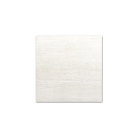 gresie exterior 95119