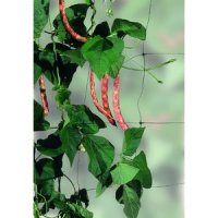 PLASA SPRIJINIRE PLANTE FLORA VERDE 2X10M - PLASA SPRIJINIRE PLANTE FLORA VERDE 2X10M