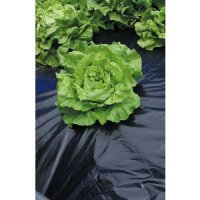 FOLIE MULCIRE BLACK COVER 1.5X100 M - FOLIE MULCIRE BLACK COVER 1.5X100 M