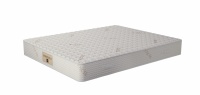 SALTEA CU MEMORY FOAM COSMOPOLITAN - SALTEA CU MEMORY FOAM COSMOPOLITAN