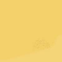 CHIT ROSTURI - WEBER COLOR DESIGN HONEY (5KG) - CHIT ROSTURI - WEBER COLOR DESIGN HONEY (5KG)