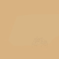CHIT ROSTURI - WEBER COLOR DESIGN TOFFEE (5KG) - CHIT ROSTURI - WEBER COLOR DESIGN TOFFEE (5KG)