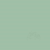 CHIT ROSTURI - WEBER COLOR DESIGN OLIVE (5KG) - CHIT ROSTURI - WEBER COLOR DESIGN OLIVE (5KG)