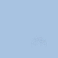 CHIT ROSTURI - WEBER COLOR DESIGN MARINE (5KG) - CHIT ROSTURI - WEBER COLOR DESIGN MARINE (5KG)