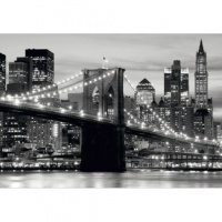 FOTOTAPET NEW YORK - PODUL BROOKLYN - FOTOTAPET NEW YORK - PODUL BROOKLYN