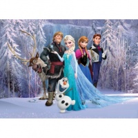 FOTOTAPET DISNEY PENTRU CAMERE COPII - FROZEN - FOTOTAPET DISNEY PENTRU CAMERE COPII - FROZEN
