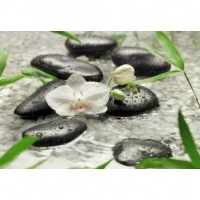 FOTOTAPET FLORAL PURITATEA ORHIDEEI ALBE - FOTOTAPET FLORAL PURITATEA ORHIDEEI ALBE