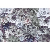 FOTOTAPET ECHEVERIA - FOTOTAPET ECHEVERIA